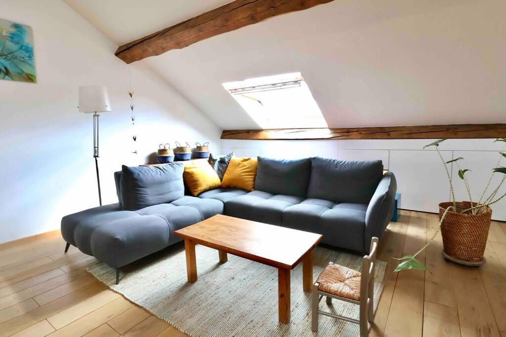 Les Hauts Du Chateau Chambéry 외부 사진